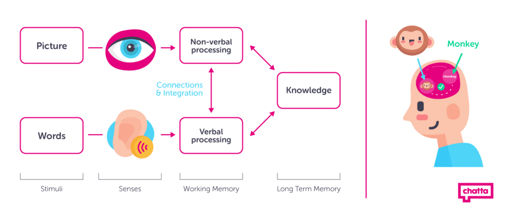 dual coding theory